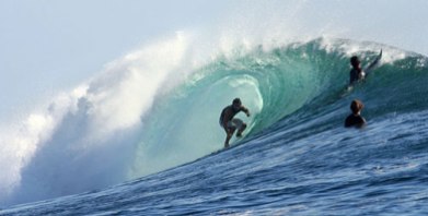 surf-g-land-grajagan-java-indonesia